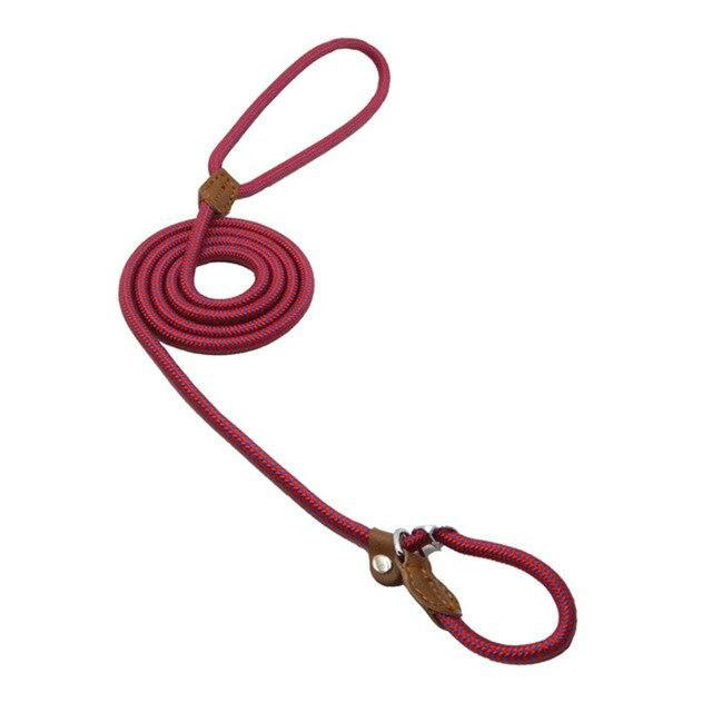 Nylon Dog Collar and Leash Set — Adjustable, Durable, All Sizes