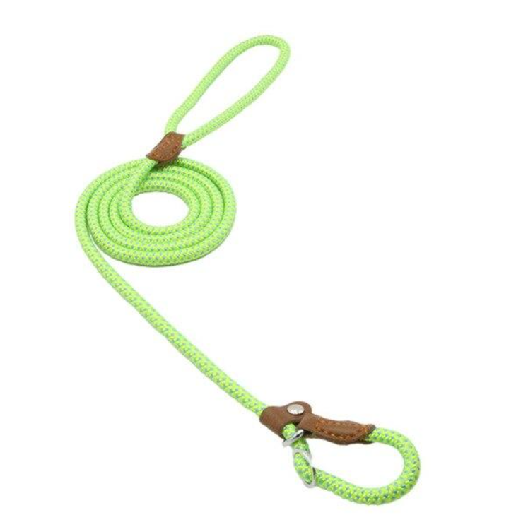 blue nylon dog collar and leash set double-layer stitching