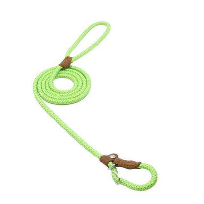 Nylon Dog Collar and Leash Set — Adjustable, Durable, All Sizes