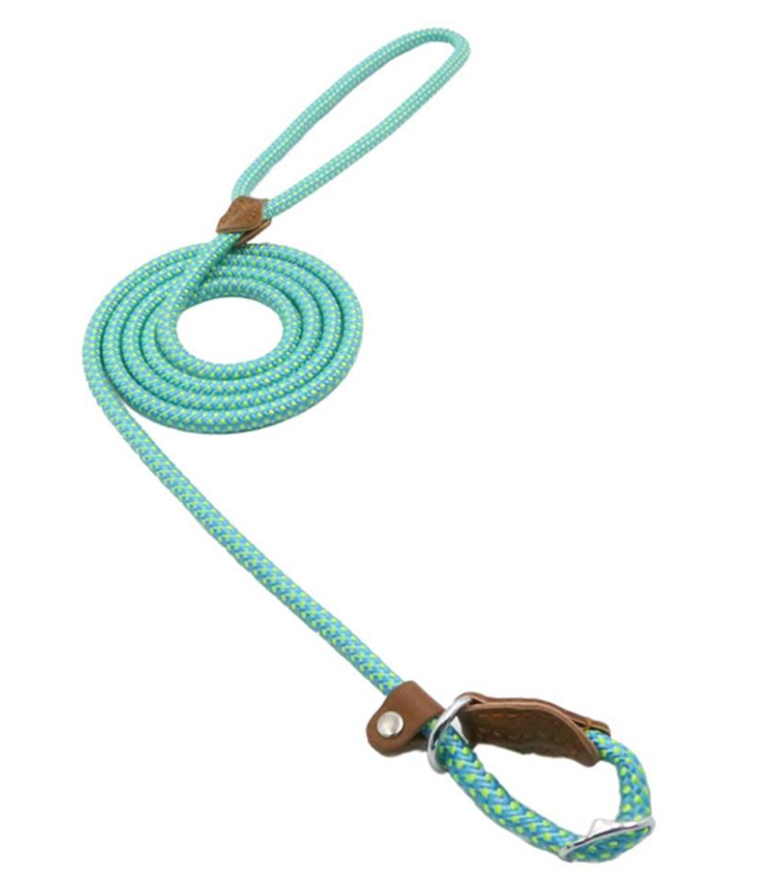 colorful nylon dog collar and leash for small to large dogs