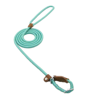 nylon pup set showing collar buckle and leash clip detail