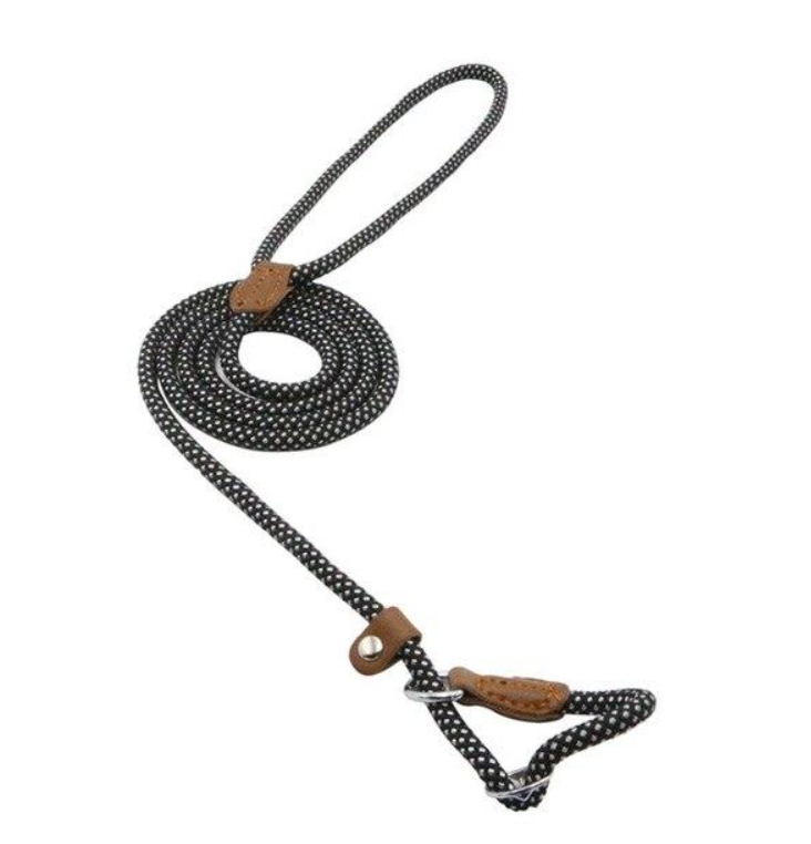 Nylon Dog Collar and Leash Set — Adjustable, Durable, All Sizes