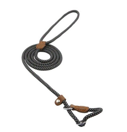 Nylon Dog Collar and Leash Set — Adjustable, Durable, All Sizes
