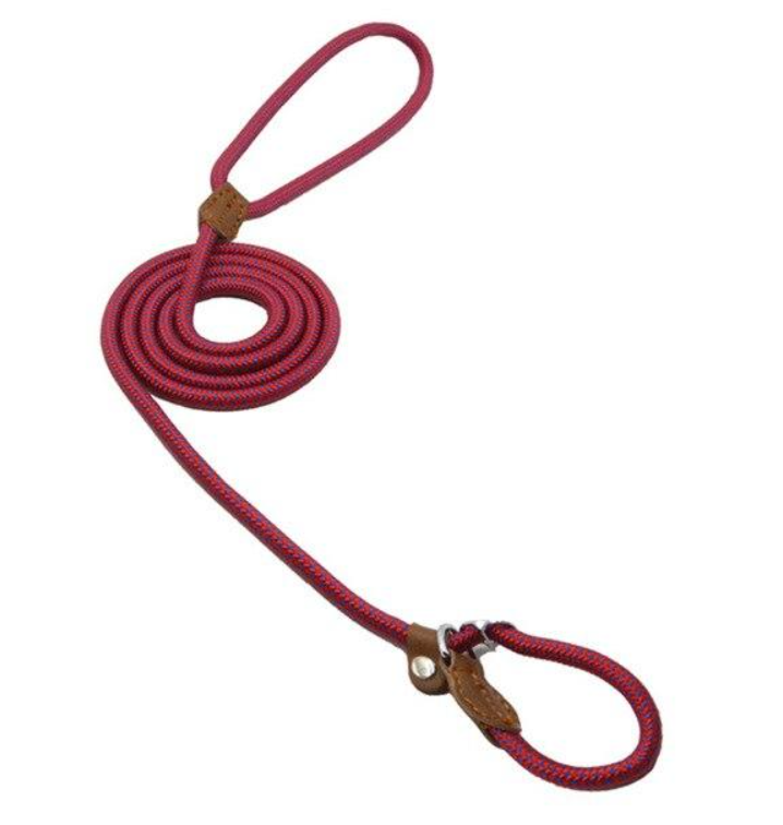 adjustable nylon dog collar sizes small medium large extra large