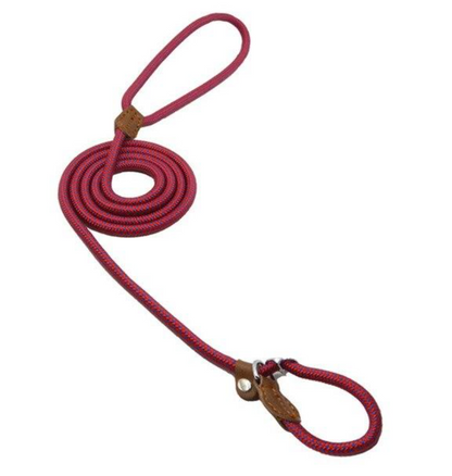 adjustable nylon dog collar sizes small medium large extra large
