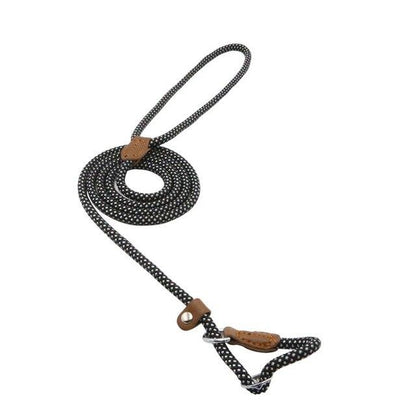 Nylon Dog Collar and Leash Set — Adjustable, Durable, All Sizes