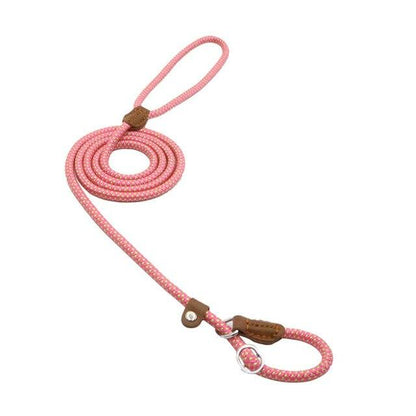 Nylon Dog Collar and Leash Set — Adjustable, Durable, All Sizes