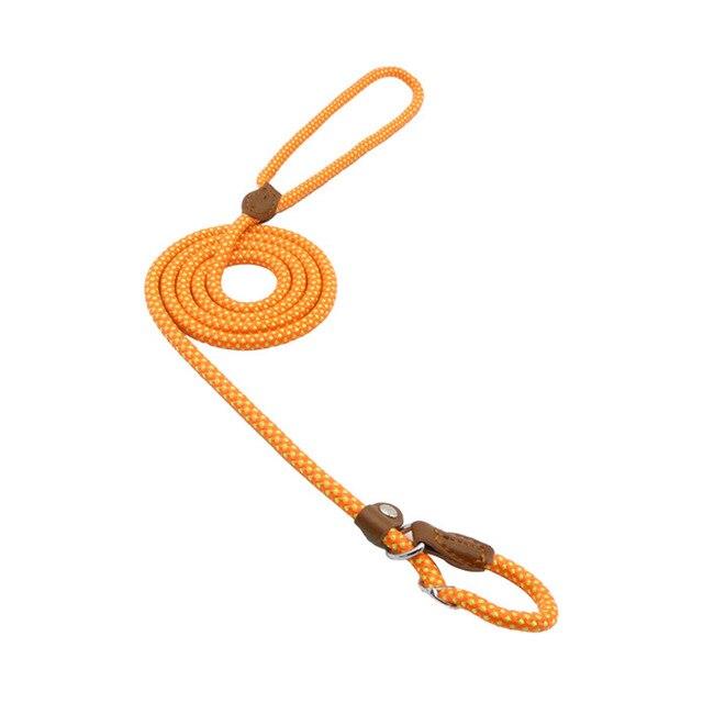 Nylon Dog Collar and Leash Set — Adjustable, Durable, All Sizes