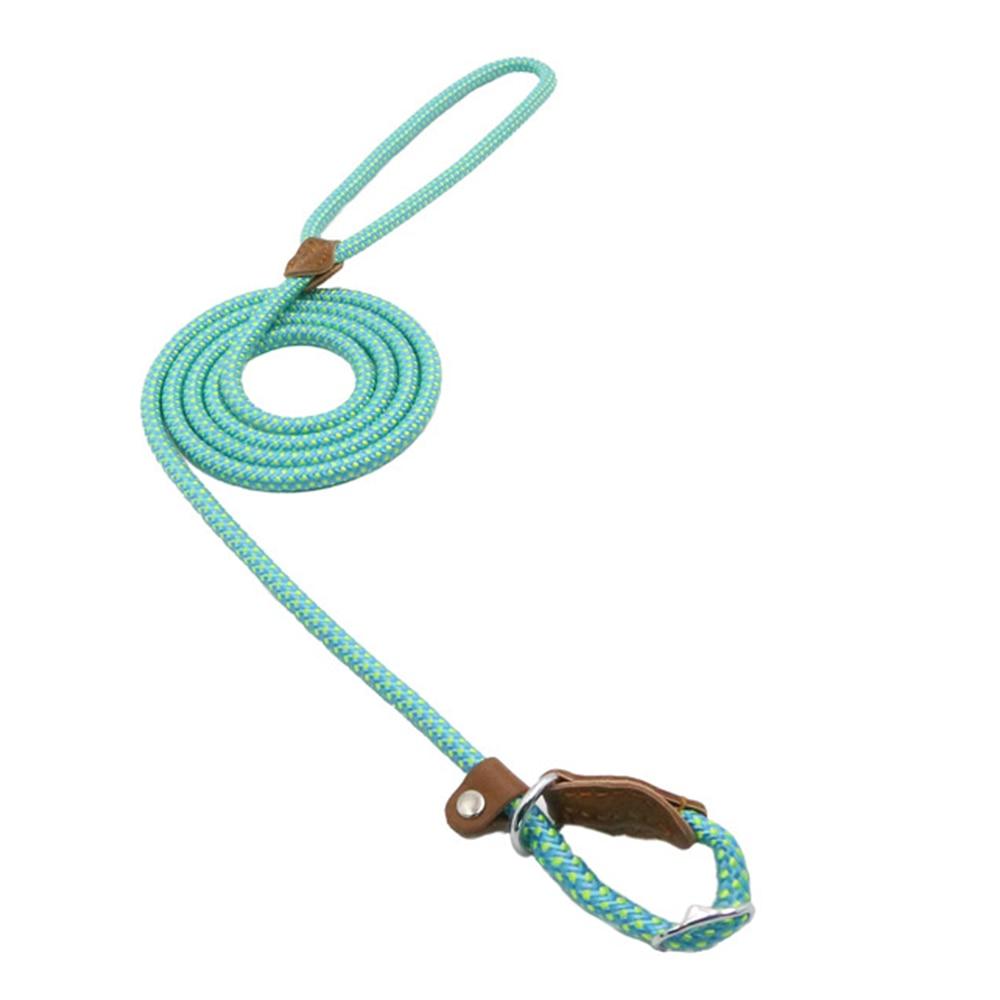 Nylon Dog Collar and Leash Set — Adjustable, Durable, All Sizes