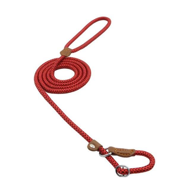 durable nylon dog collar with matching leash in multiple colors